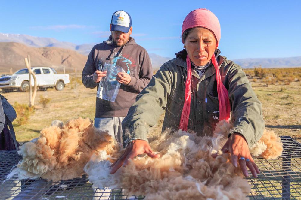 Municipalidad de Villa Vil-5