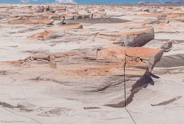 Campo de Piedra Pomez