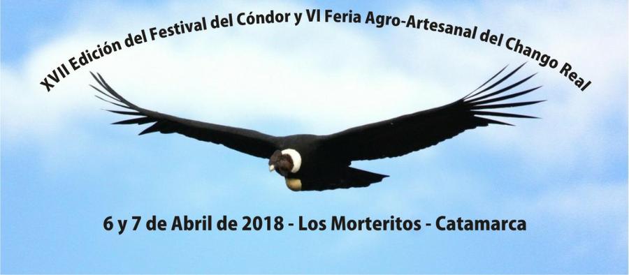 condor