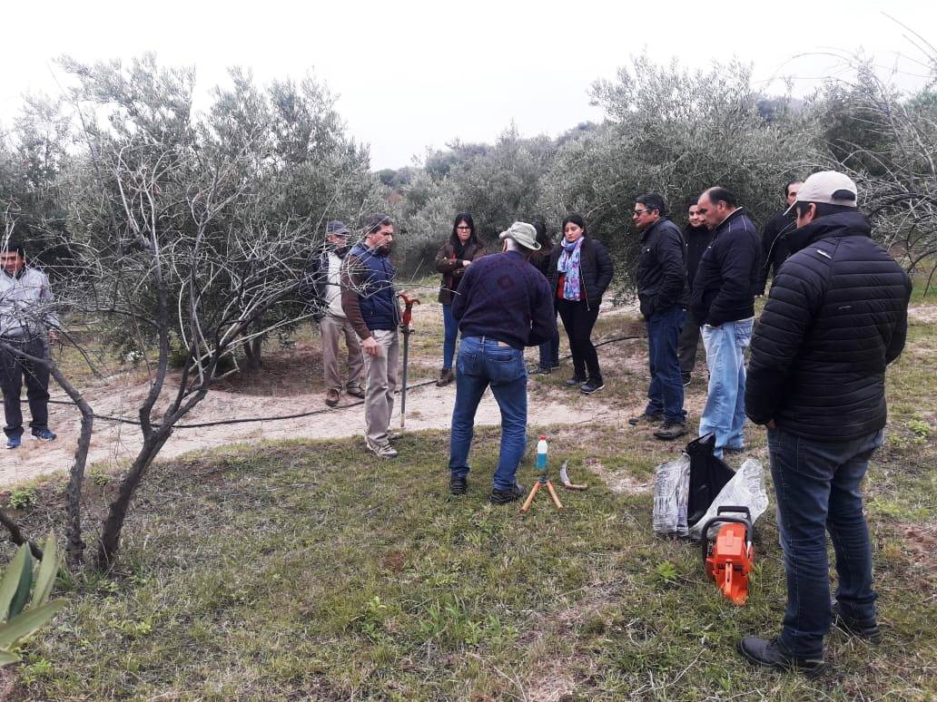 capacitacion poman2
