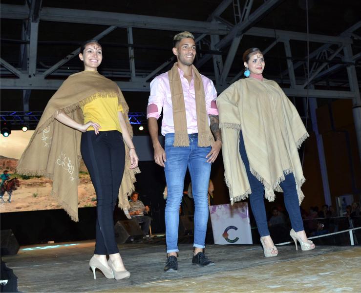 Desfile 15
