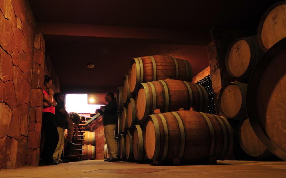 Vinos Catamarca