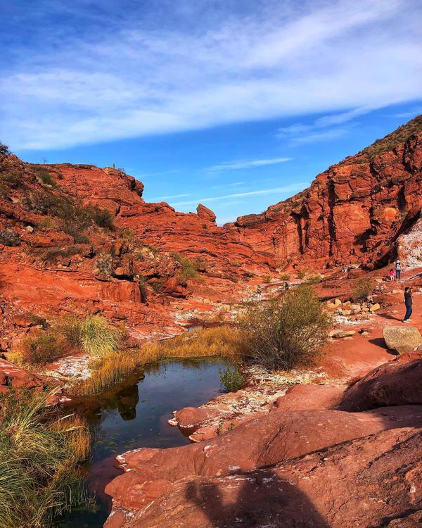 295816208_5230589863728772_8690502351771865970_n