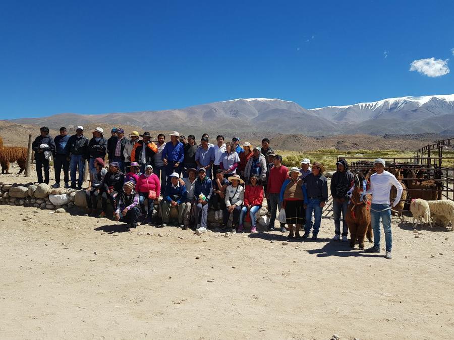 Chimpiada2018f