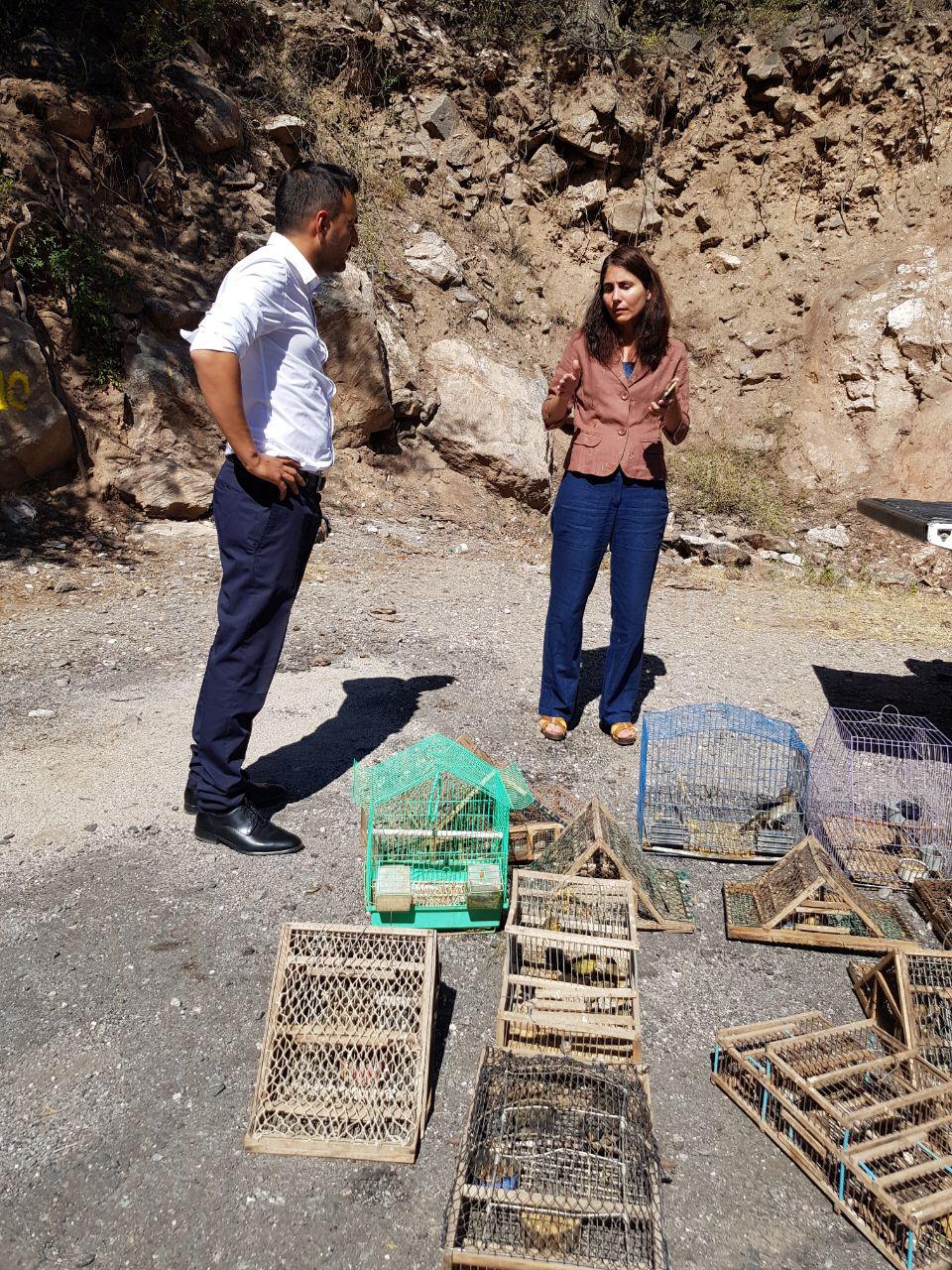 IMG-20190327-WA0026